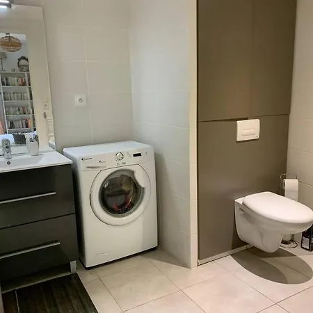Appartement Tres Calme Avec Jardin Plein Sud Lyon Exterior foto